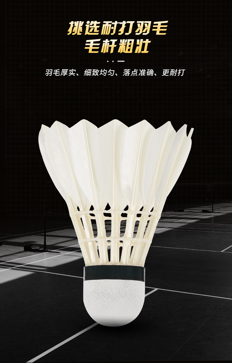 New 12PCS Professional Badmint - Badminton Victor ulasan dan harga