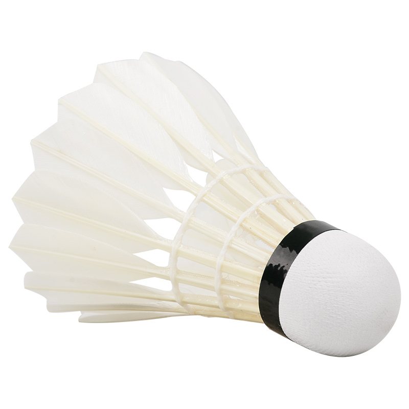 New 12PCS Professional Badmint - Badminton Victor ulasan dan harga