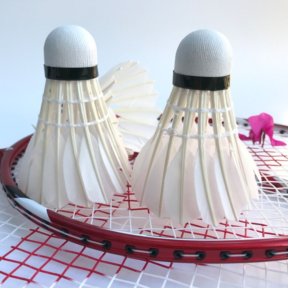 3/6/12Pcs New White Badminton  - Badminton Victor ulasan dan harga